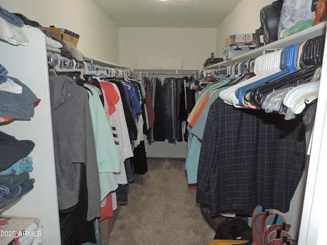 walk in closet featuring carpet