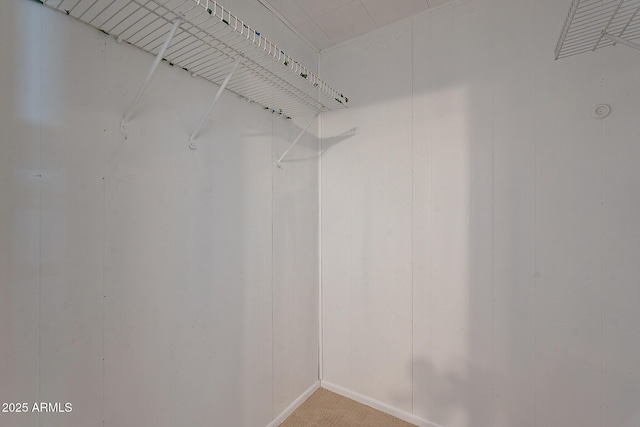 923 N Easy St, Payson, AZ 85541 - walk in closet featuring light carpet