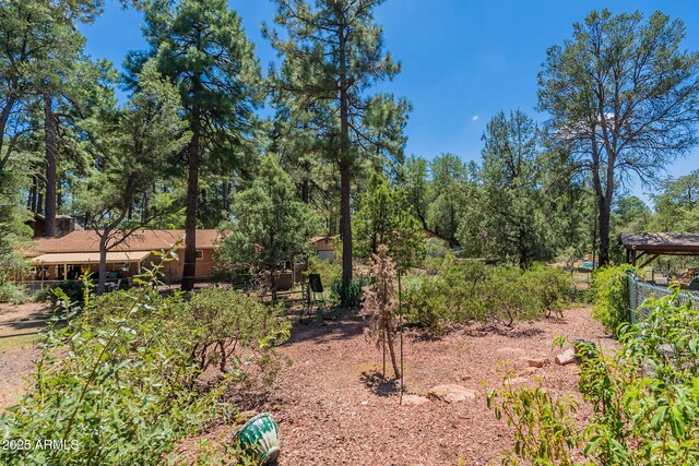 923 N Easy St, Payson, AZ 85541 - view of yard
