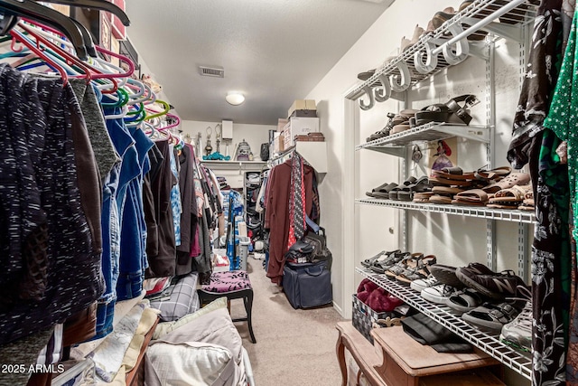 10566 E Bogart Ave, Mesa, AZ 85208 - spacious closet with carpet floors