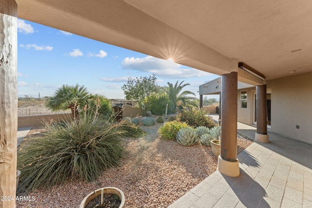 view of yard with a patio area