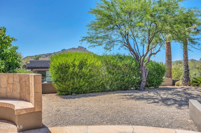 view of yard featuring a mountain view