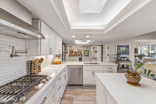 kitchen with a skylight, a raised ceiling, sink, stainless steel appliances, and wall chimney exhaust hood