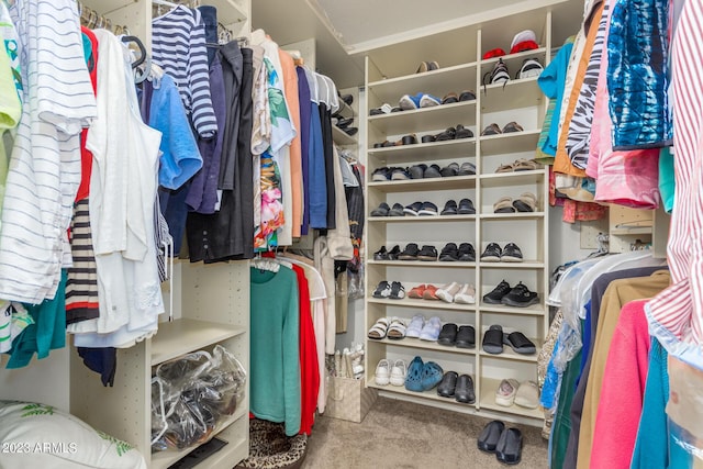 walk in closet with carpet flooring