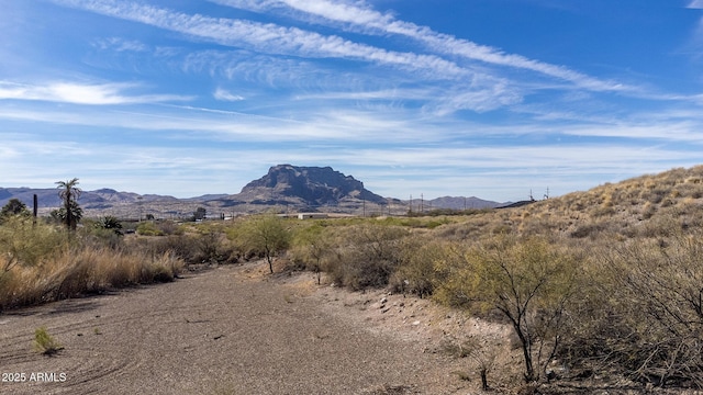 35 W Pisano St Unit 1, 2, 26, Superior AZ, 85173 land for sale