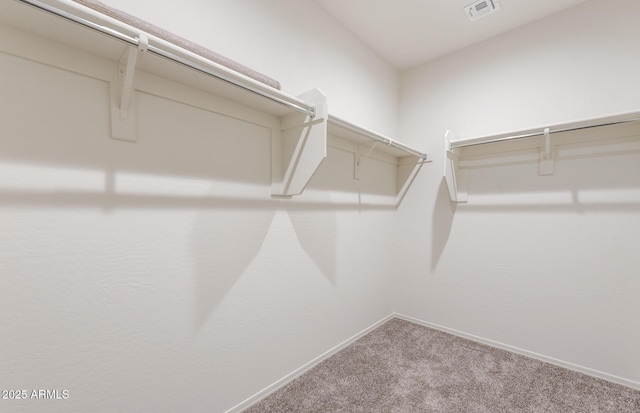 spacious closet with carpet flooring