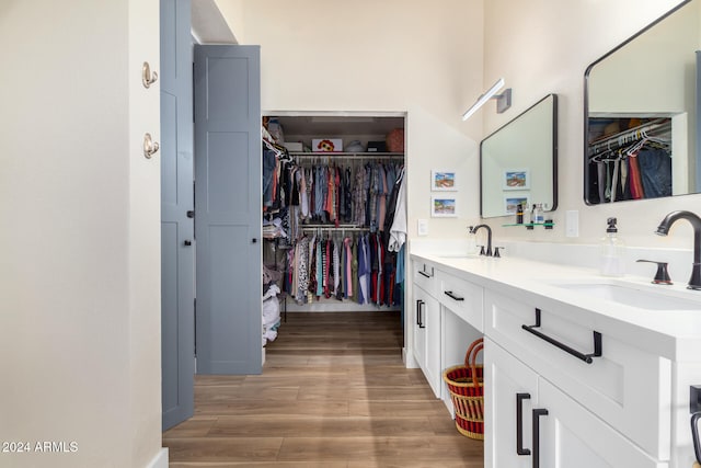 bathroom with hardwood / wood-style floors and vanity