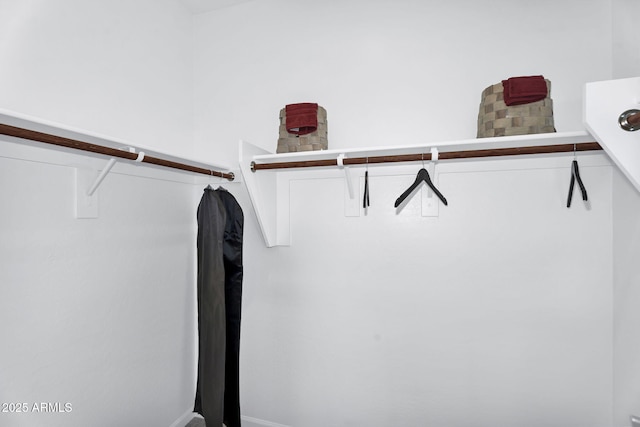 3309 E Malibu Dr, San Tan Valley, AZ 85143 - view of walk in closet