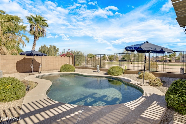 view of swimming pool featuring a patio area