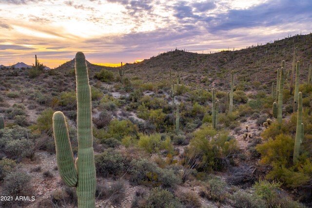 445XX N Cottonwood Canyon Rd Unit 1, Cave Creek, AZ 85331