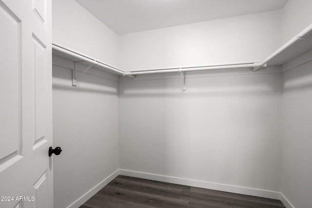 spacious closet with dark hardwood / wood-style floors