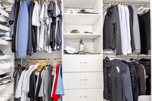 9100 E Captain Dreyfus Ave, Scottsdale, AZ 85260 - view of walk in closet