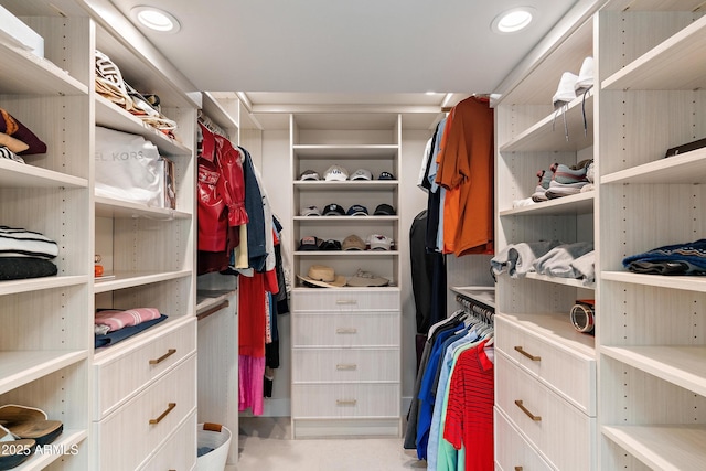 view of spacious closet