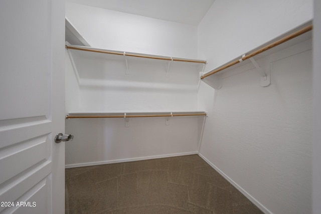 walk in closet featuring carpet