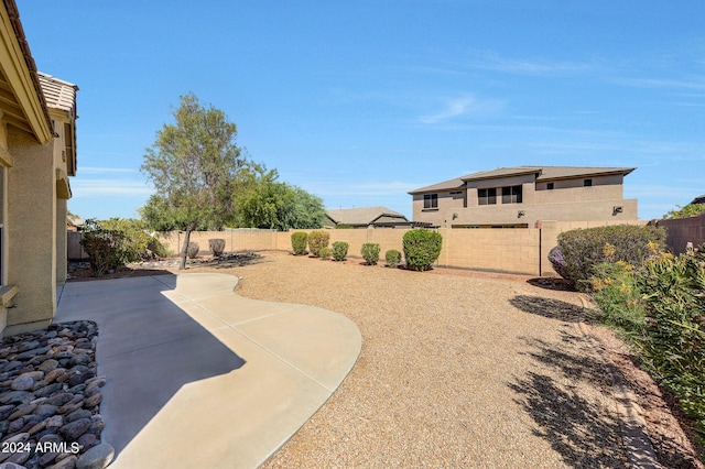 view of yard featuring a patio area