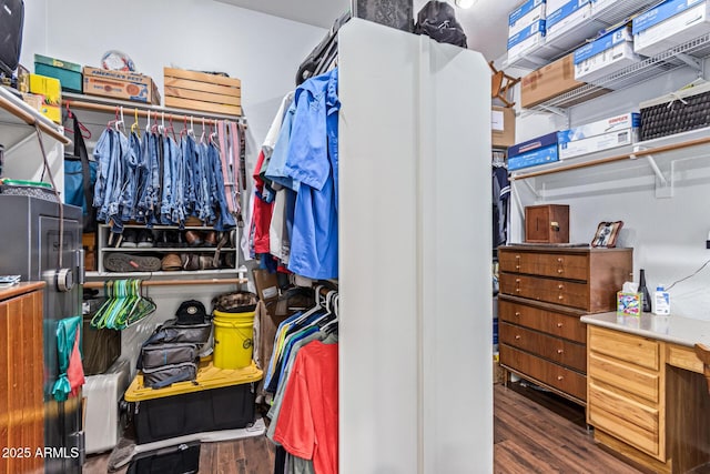 2045 E San Carlos Pl, Chandler, AZ 85249 - walk in closet featuring wood finished floors