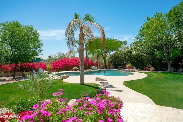 pool featuring a lawn and a patio area