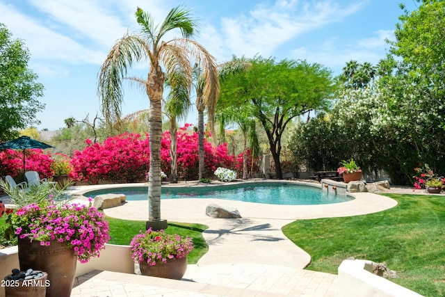 outdoor pool with a lawn and a patio
