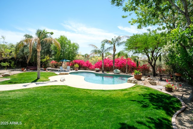 pool featuring a lawn and a patio