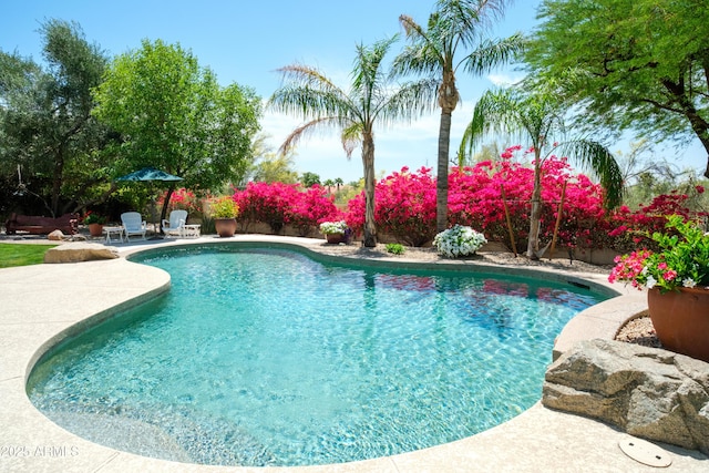 pool featuring a patio