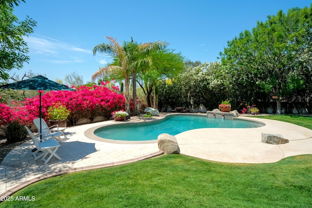 view of swimming pool featuring a lawn, a fenced in pool, and a patio