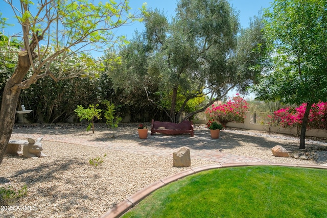 view of yard featuring a patio and fence