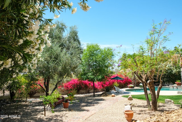 surrounding community featuring a swimming pool and a patio