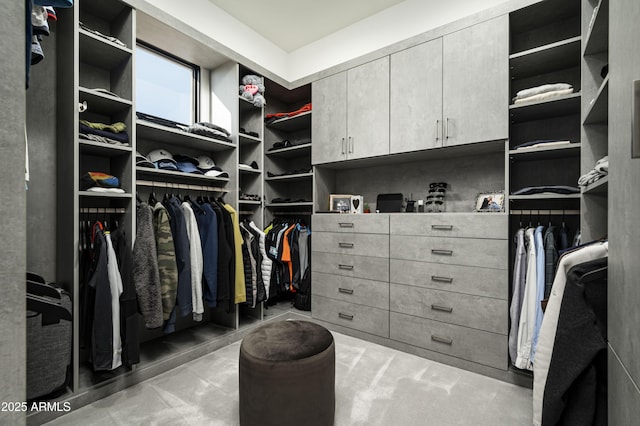 view of spacious closet