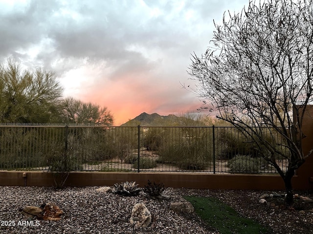 view of yard at dusk