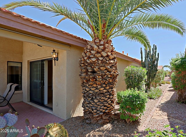 3928 N 151st Ave, Goodyear, AZ 85395 - doorway to property with stucco siding