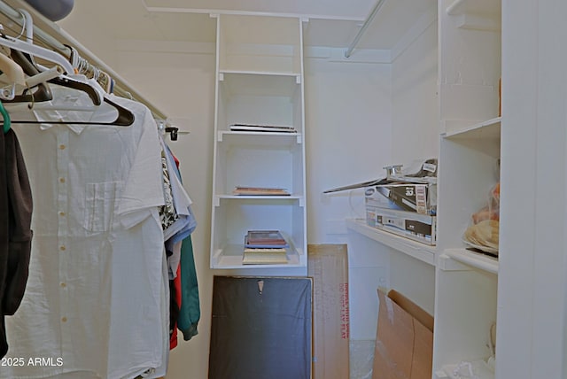 3928 N 151st Ave, Goodyear, AZ 85395 - view of spacious closet