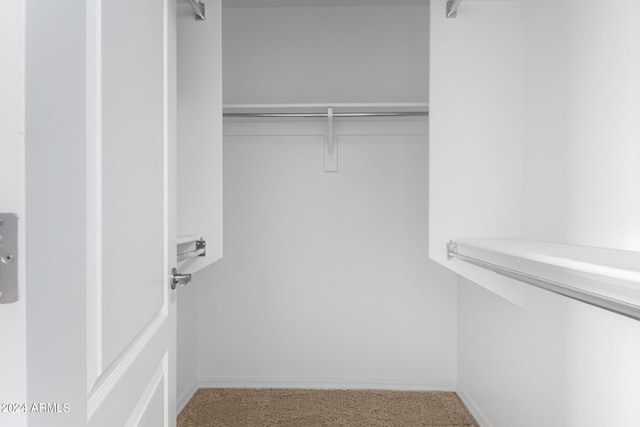 walk in closet featuring light colored carpet