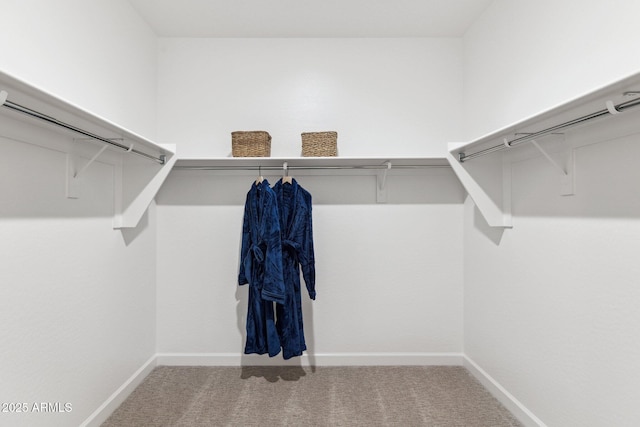 spacious closet with carpet