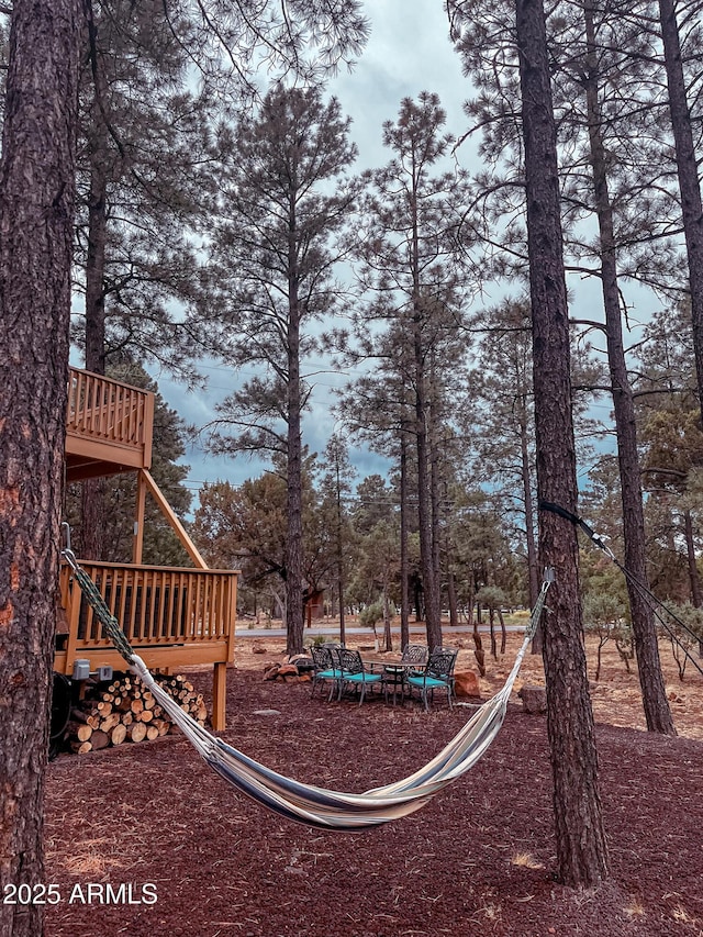 2124 Forest Park Dr, Overgaard, AZ 85933 - view of yard