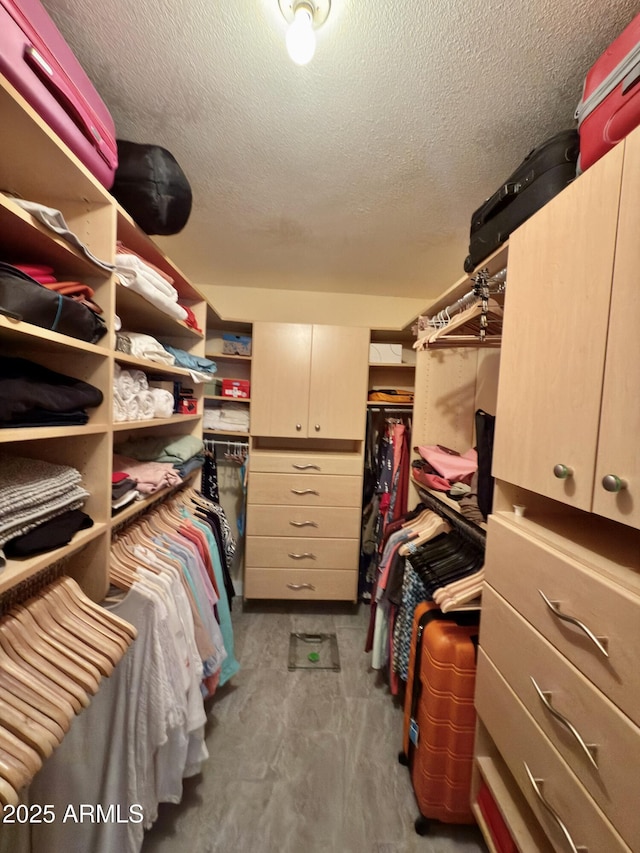 11035 N 37th St, Phoenix, AZ 85028 - view of spacious closet