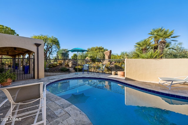 view of pool with a patio