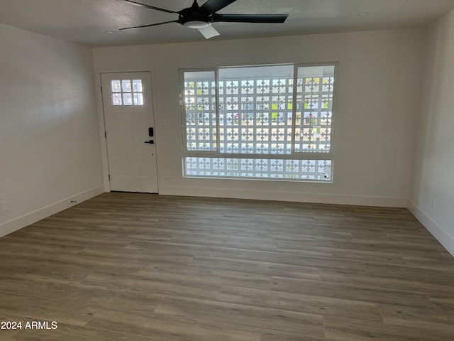 entrance foyer featuring ceiling fan and wood-type flooring