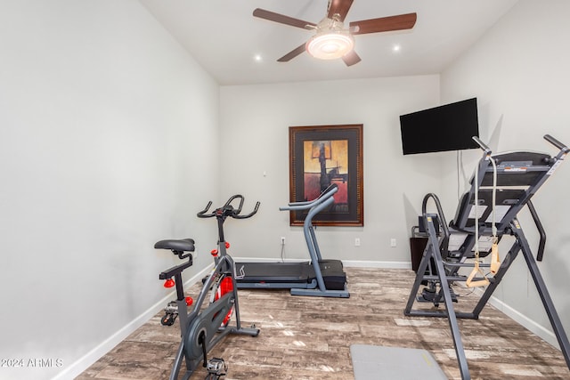 workout room featuring hardwood / wood-style flooring and ceiling fan