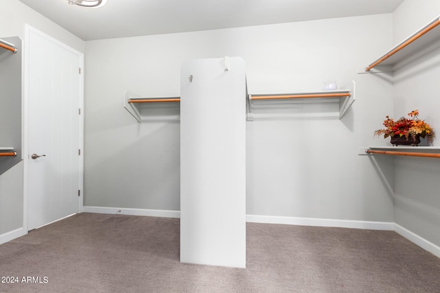 spacious closet featuring carpet floors