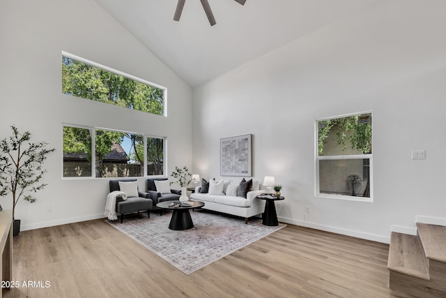 5122 W Mercury Way, Chandler, AZ 85226 - living room with high vaulted ceiling, a ceiling fan, and wood finished floors