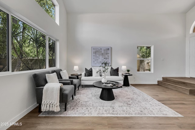 5122 W Mercury Way, Chandler, AZ 85226 - living area with a high ceiling and wood finished floors