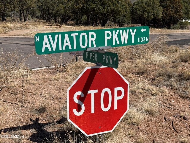 1103 N Aviator Pkwy Unit 63, Payson, AZ 85541