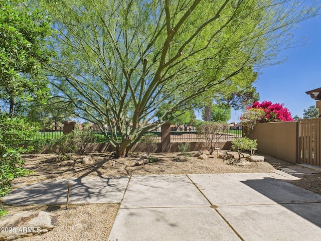 view of patio featuring a gate and a fenced front yard