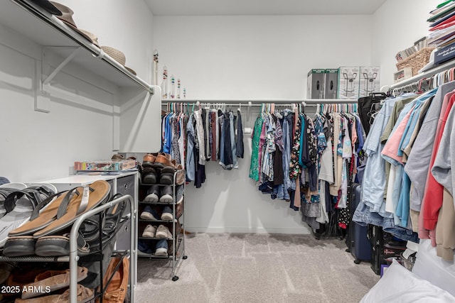 spacious closet with carpet flooring