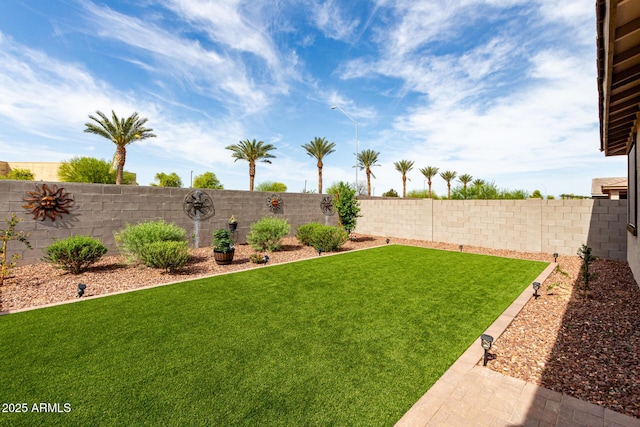 view of yard featuring a fenced backyard