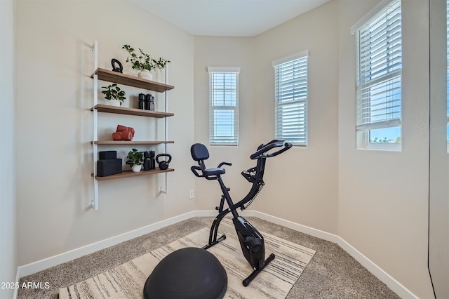 workout room with carpet