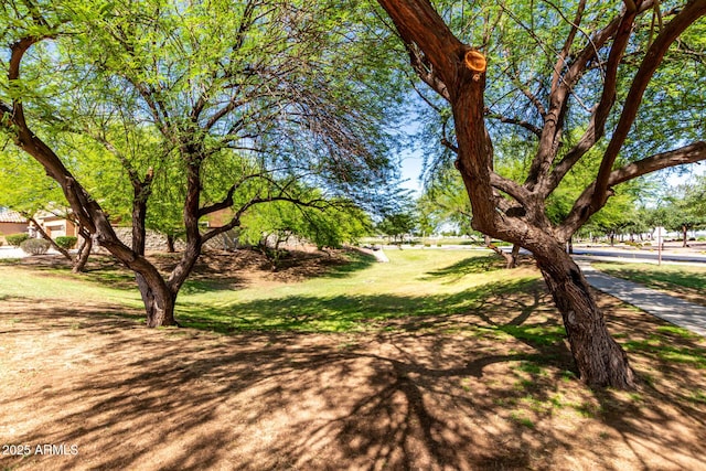 14112 W Larkspur Dr, Surprise, AZ 85379 - view of yard
