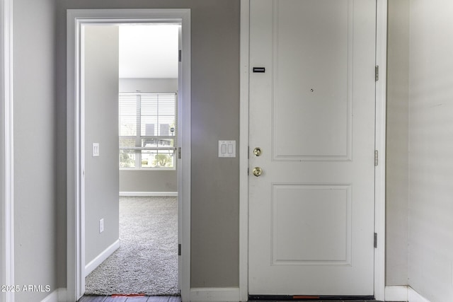 hallway featuring carpet