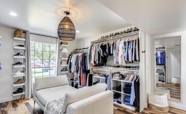 walk in closet featuring wood finished floors