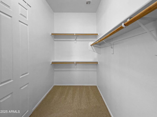 2971 N Rosewood Ave, Casa Grande, AZ 85122 - walk in closet featuring carpet flooring